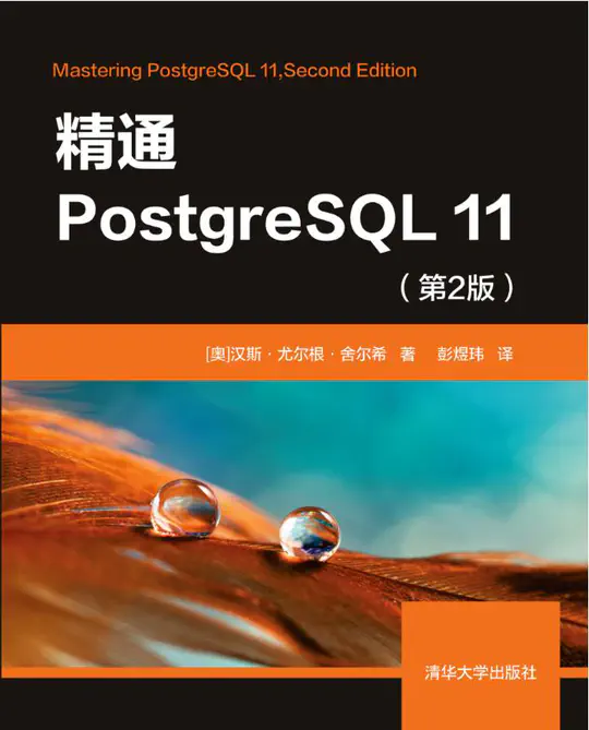 精通PostgreSQL 11(第2版)